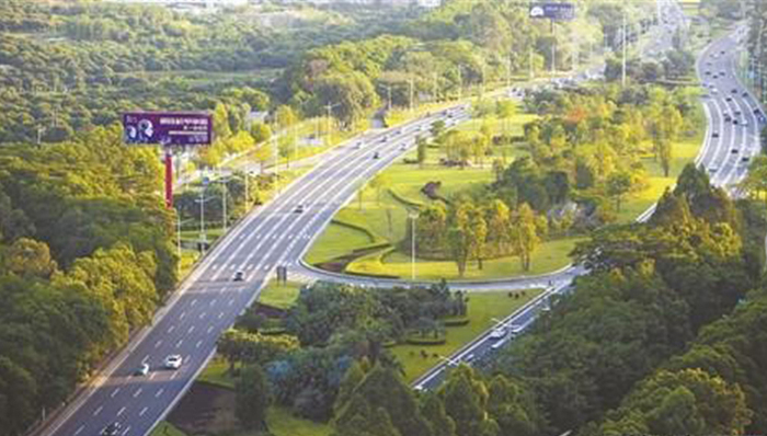 东莞：打造林业生态屏障，服务粤港澳大湾区