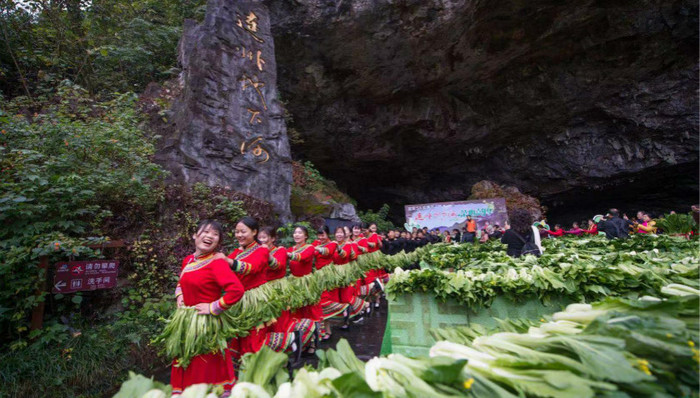 五万斤广东清远连州菜心赠游客
