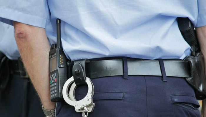 粤警扼守平安“南大门”，治安形势走向历史最好