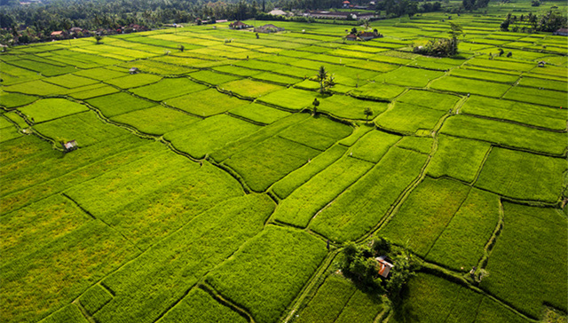 11月百城土储环比增长2.0%   去化周期呈上行趋势