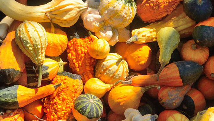 兴宁首届农特产品展销暨农电商交流贸易会展位供不应求