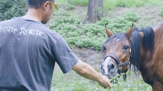在北京郊外的柿子林卡里，自然长出的房子