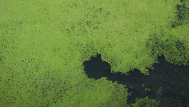 广州46部门：对生态环境保护领域生产经营者实行联合激励惩戒