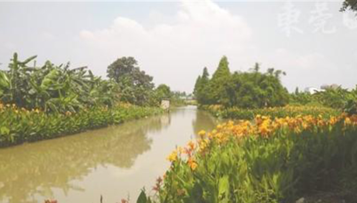 东莞2018年河涌水环境综合整治：102条河涌基本消除黑臭