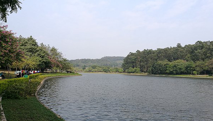 佛山市荣膺“2018全国社会治理创新示范市”