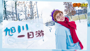 萌趣旭川，赏雪胜地，让你近距离接触极地生灵