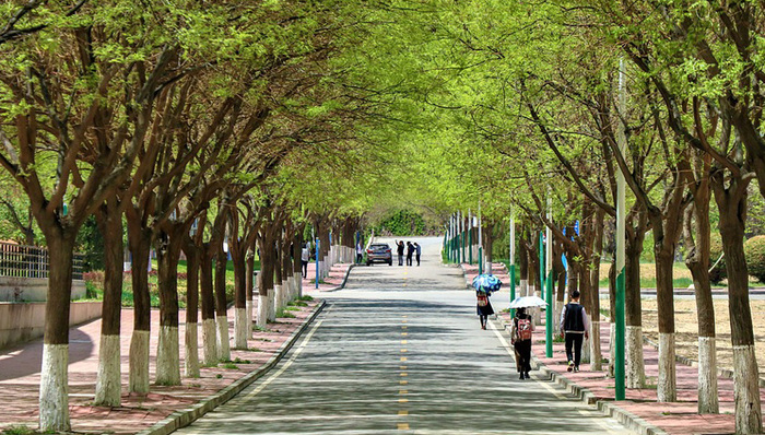 广州408.3亿“民生大单”接地气，教育事业占近四成