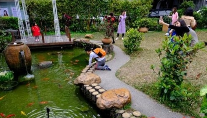 2月7日起广东各大景区迎客流高峰 “回巢”游客忙周边游