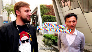 中国大熊猫国际形象设计全球招募大赛隆重启动