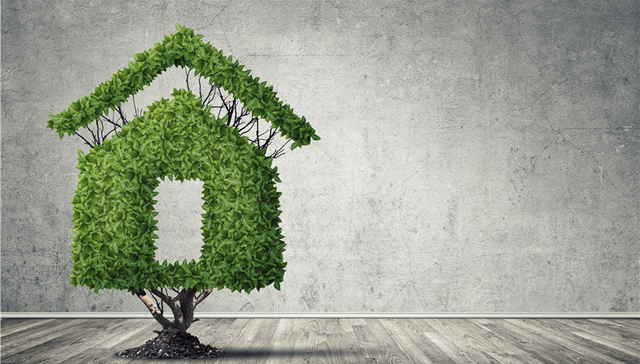 冯玉良回应阿里收购世界之花：项目为集体用地 只招合作商