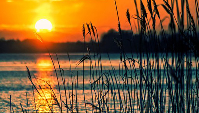大数据告诉你，今年春节广东旅游哪儿最火