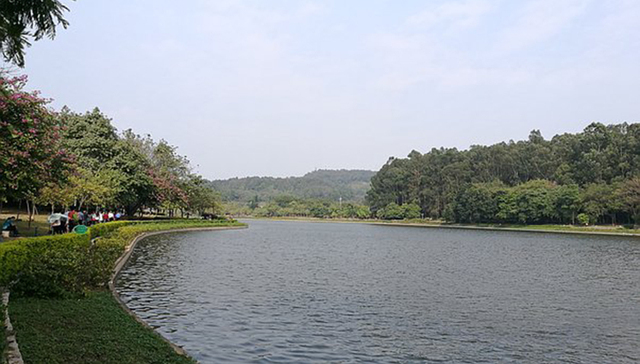 东莞市政协主席骆招群：力争年底前消除水体黑臭现象