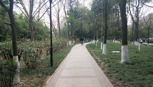 新理念下的成都③｜天府绿道：铺向美丽宜居公园城市之路
