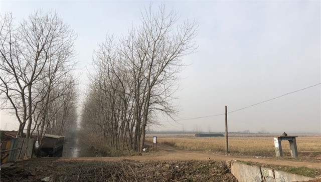 两会声音｜代表为培养乡村振兴人才支招：留住领头羊，吸引南归雁