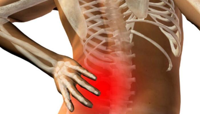 腰椎病的预防及康复手册