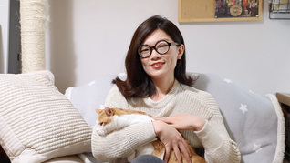 留守猫咪怎么办？她辞职后当专业铲屎官，1个月摸过1000只猫！