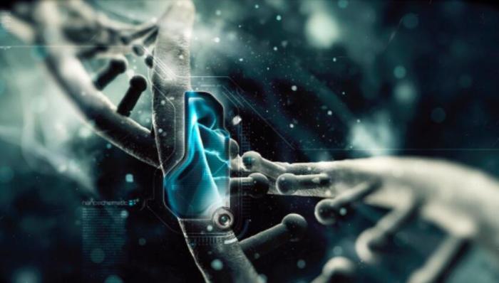 新型纳米机器人可进入活体癌细胞