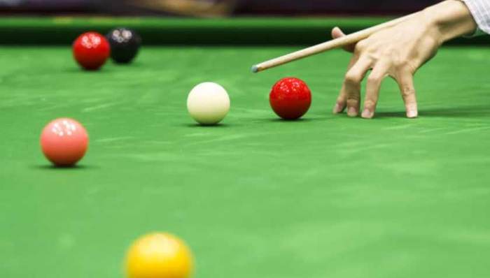 中国选手锁定2019中式台球世锦赛男女冠军