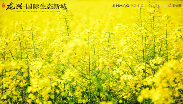 我们不应该只忙碌着生存，再慢一点才是生活，远离喧嚣寻觅踏青感受生活