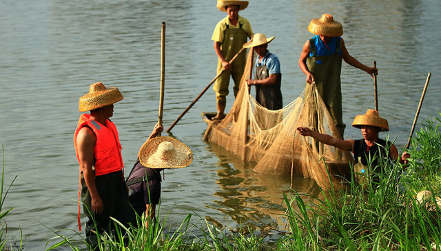 珠海斗门以生态振兴构建“全域秀美”乡村