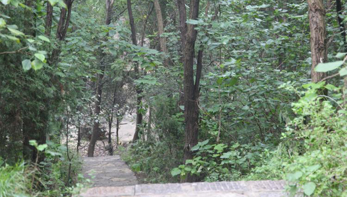 广东：严阵以待确保清明防火安全