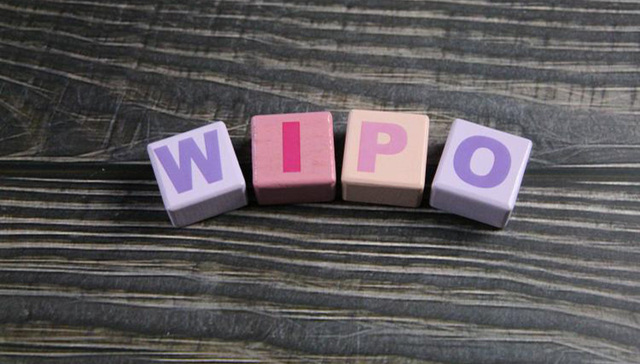 知识产权要告别裸奔？全国首个作品版权维权保险上线