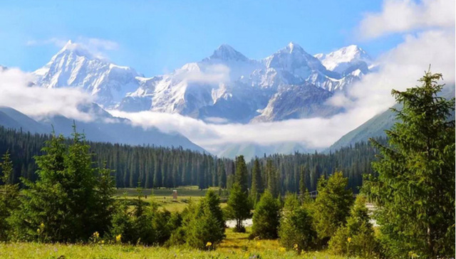 青海、新疆伊犁、呼伦贝尔旅行，优惠团购征集令