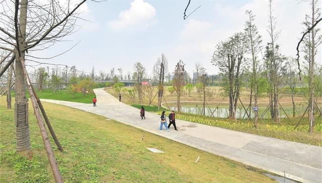 提升背街小巷品质刷新城市颜值，成都高新区百日攻坚行动