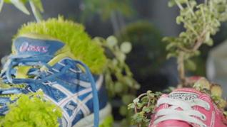 法式“球鞋控”艺术家Michel Blazy——让鞋子里长出花