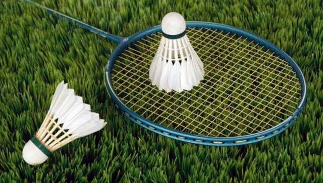 羽毛球运动水平等级评定标准发布