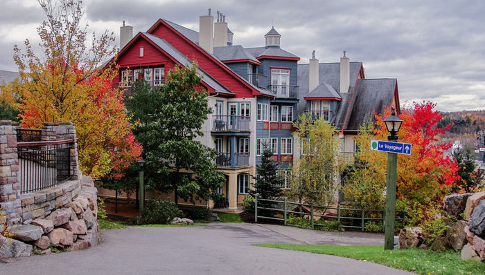 加拿大、澳洲房价骤跌 多金的“中国大妈”为何冷眼旁观？