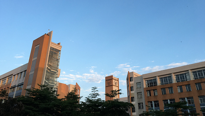 粤港澳大学群梯队完备，专家倡议构建“马赛克式共同体”