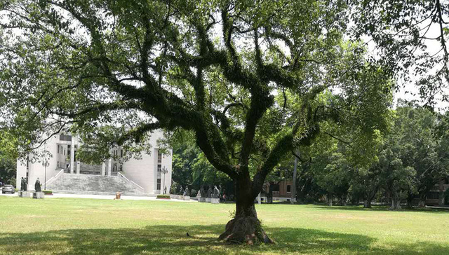 8公里云道年中施工，今年广州海珠广场、西堤、沙面将大变身