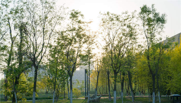 闲置宅基地可入市 农村土地资源有望进一步盘活、放大