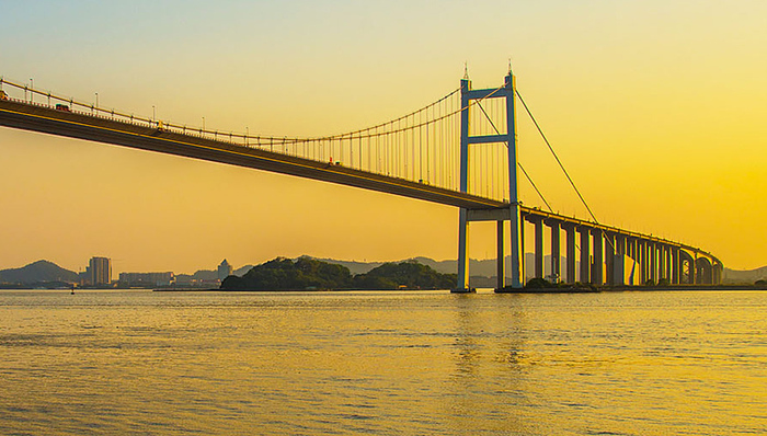 东莞力争明年底前实现政务服务4个100%