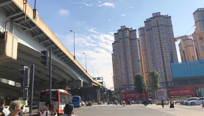 四川大学全球青年学者论坛举行，招揽“熊猫人才”