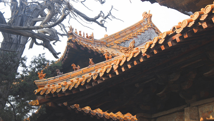 来尼山约会孔子，曲阜尼山圣境展示“明礼生活方式”