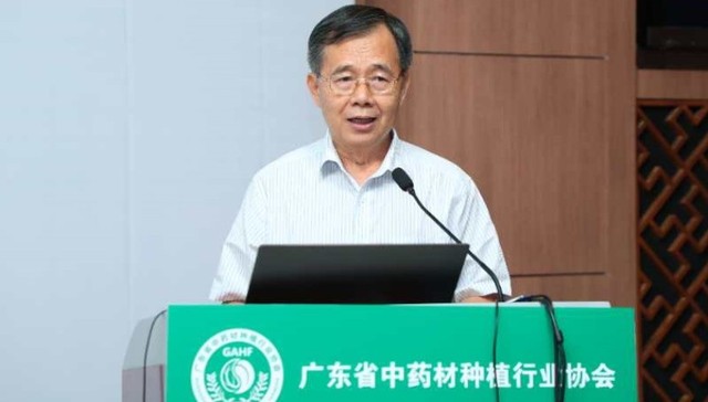广东省中药材种植行业协会会长陈蔚文：中药材行业机遇与挑战并存