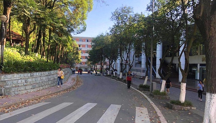 母婴社区平台宝宝树发布公告：实施股票回购341.8万股