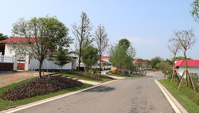 南雄市新农村改造：既要村美民富也要留住山水乡愁