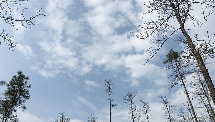 广东全省城市空气质量，连续四年达国家二级标准