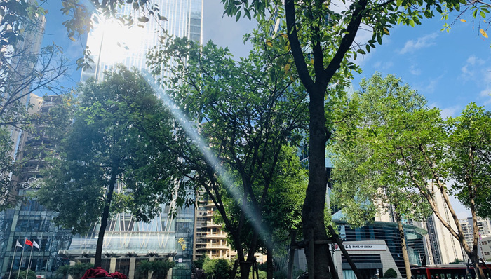 成都高中自主招生进入尾声，这些学校的计划你了解吗？