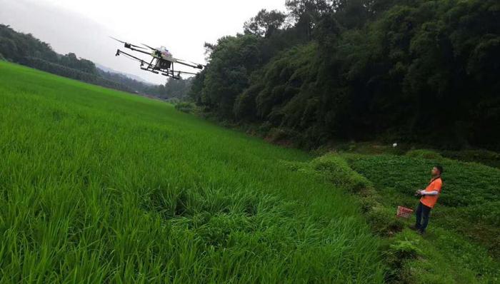 无人机抢滩重庆农业植保市场，1小时喷药100亩地