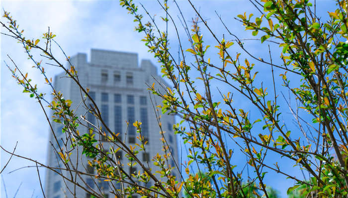 融资窗口期已过 严监管下房企找钱“各显神通”
