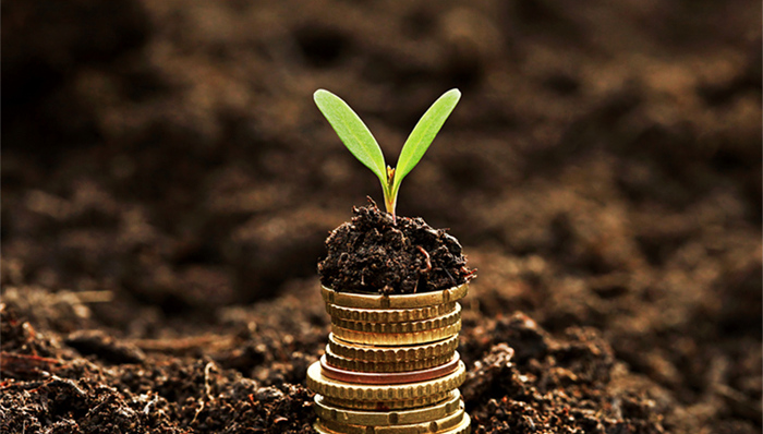 半个月绿地投资了四家科创“独角兽”