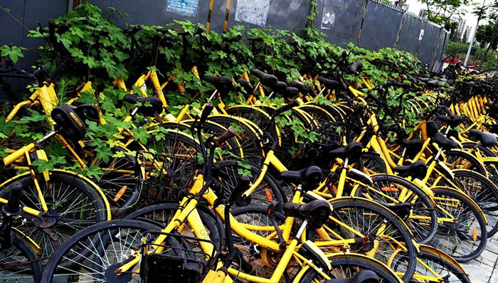 ofo在成都：高峰30万辆如今不足1/3