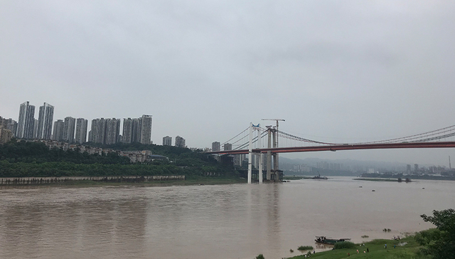 重庆上半年进出口总值2663.6亿元，增长16.48%