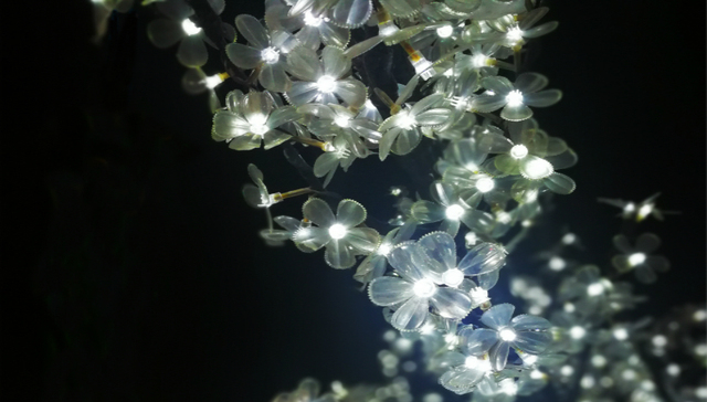 道恩股份上半年归母净利同比增41%，改性塑料业务高速增长