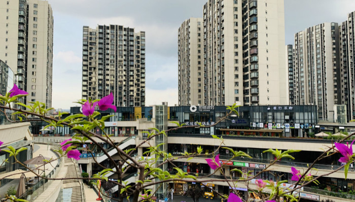 A股大消费信仰“变形记”