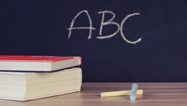 素质教育成投融资最热门赛道，上半年投融资数量达到50笔